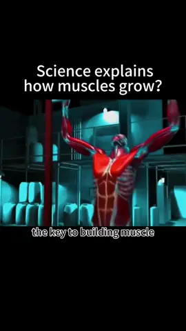 Principle of muscle growth.#humanbody #fitnessknowledge 