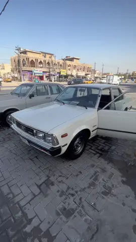 #كرونه #79 #حلال#الجديد #كراون_ابوالتاج #السعودية #العراق #صلو_عليه_شفيع_الامة 