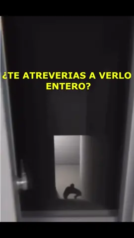 ¿TE ATREVERÍAS A VERLO ENTERO? #horror #noloveassolo😲😱😳😰 #thriller #creppy #videosdemiedo #videosquenotedejarandormir #humanoide #miedo #miedoyterror #miedo😱😱😱 #nopodrasdormir #perturbador #increible #fobia 