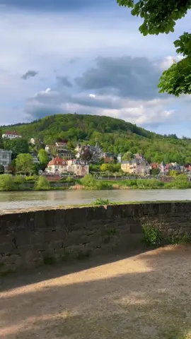 Alte Brücke, Heidelberg one of the most romantic cities in Germany  #heidelberg #germany #aboutheidelberg #deutschland #schön #sonne #latinasenalemania #heidelberger #altebrücke #altebrükeheidelberg #latam #chapin 