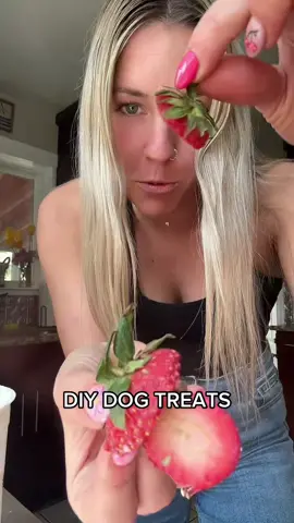 Strawberry leaves are so good for your pup and such a good way to use up food that is usually being wasted! #foodwastesolution #diydogtreats #yogurtfordogs #dogtreats#freshdogfood #fruitfordogs #dogfood#dogpopsicle #frozendogtreatrecipe 