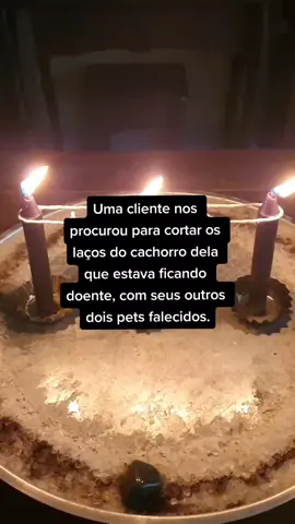 Quebra de laços do cachorro de uma cliente que estava ficando doente, com outros dois pets falecidos. #quebradelacos #magia #feitiço #witchtok #magictok #umbanda #quimbanda #quebradelaço #bruxaria #bruxa #wicca 