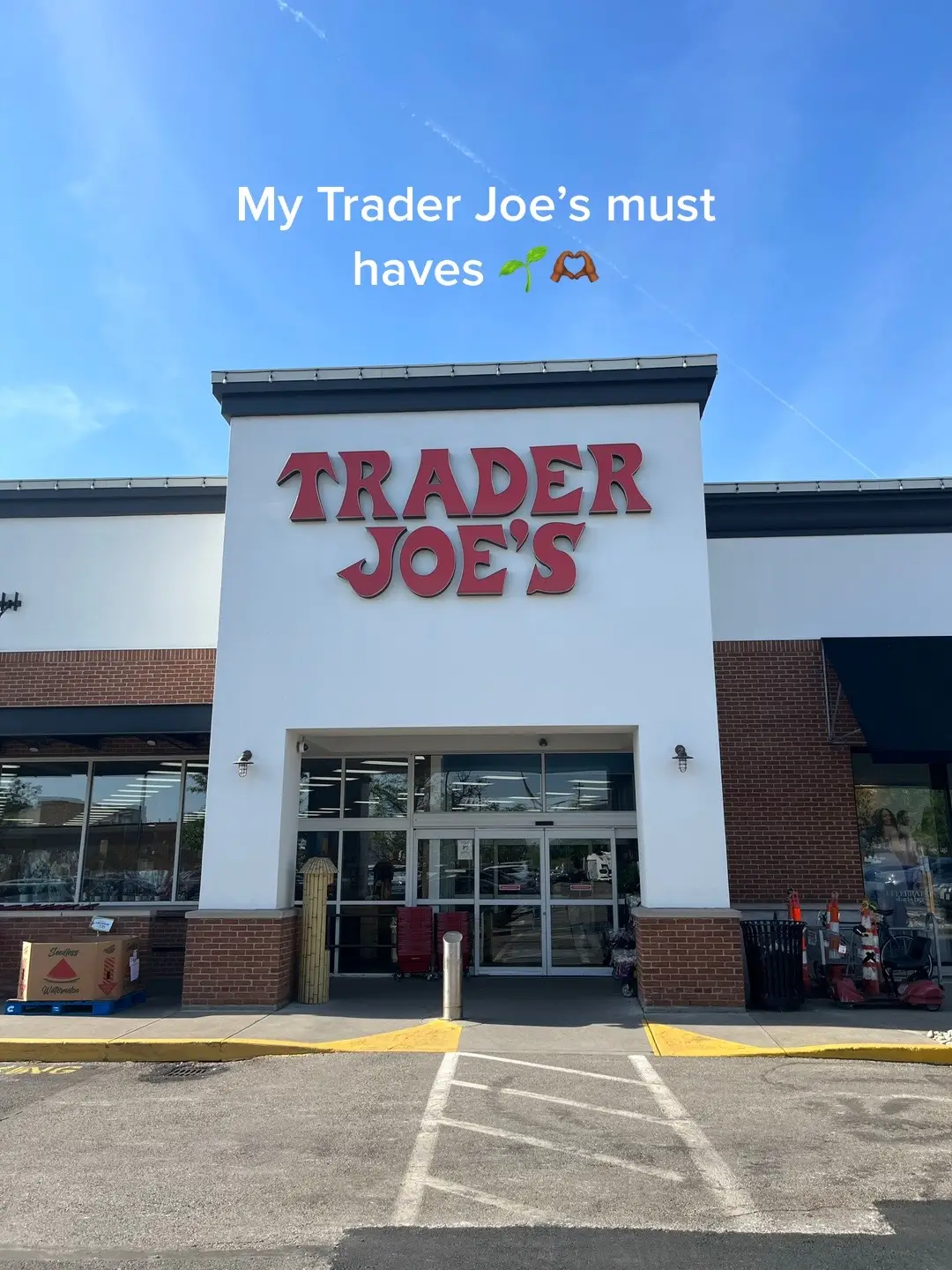 Trader Joe’s is really THAT girl!!! #traderjoes #traderjoesmusthaves #traderjoesfinds #traderjoeshaul #traderjoeshauls #traderjoesfoodreviews #dairyfree 