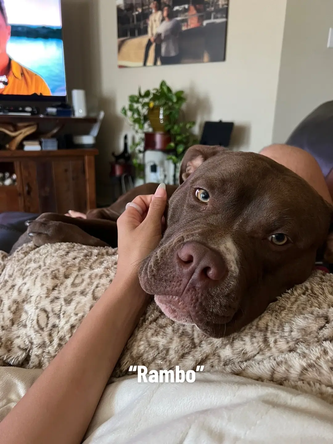 this little pup 🥹 
