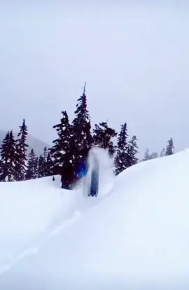 #snowmobile #fail #nothurt #softsnow #softlanding #nicefail #goodfail #tryagain #OhNo #ohfuq #backflip #dreams 