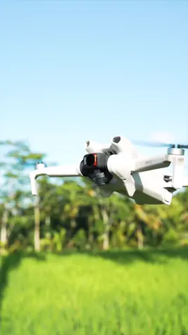 Moments with DJI Mini 3 #djiglobal #explorebali 