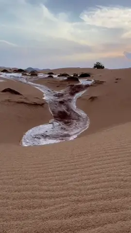Water in the desert?😳#waterviews#fyp