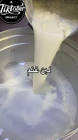 #غنم #لبن #اكسبلوررررررر #بيع 