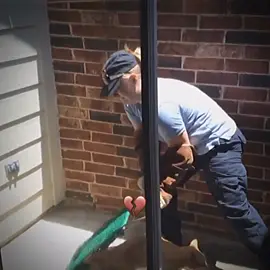 🥷🐱 #trend #fypシ #fyp #funnyvideos #foryoupage #funny #funnyanimals #cat #funnycat #catsoftiktok #catmoments #wildcats #funnymoments           #CapCut 