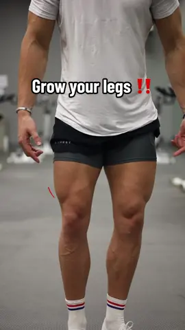 3 super effective quad exercises 🔥 My legs started to grow the most from these three movements. Squats being the # 1 for me. Leg press is another great one to incorporate on your leg days. #legday #quadworkout #princefit 