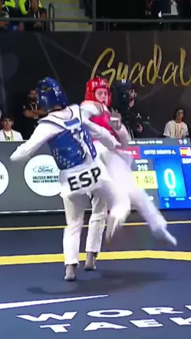 😎😎 #taekwondo #tkd #worldtaekwondo #kyorugi #Fitness #foryou #fyp 