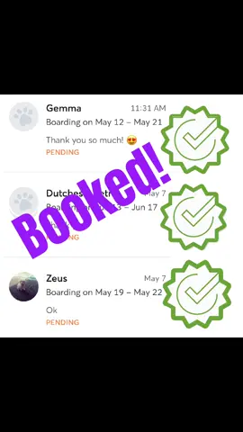 3 new client meetings in one day. 3 stays booked. #sidehustle #howimakemoney #extraincome #petbusiness #dogbusiness #dogsoftiktok #cutepets #dogboarding #petsitting #roversitter