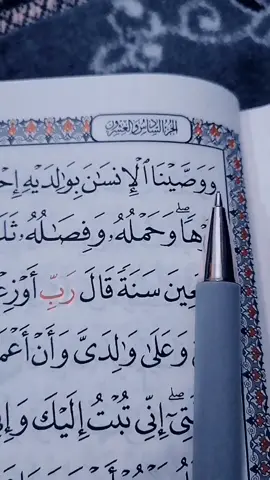 #ووصينا_ألانسان_بوالديه_احسانا #تلاوات_قرآنية #الشيخ_احمد_العجمي #اية_من_القران_الكريم #سورة_الاحقاف #اجر_لي_ولكم_ولوالدينا_وللمسلمين #القران_الكريم_راحه_سمعك_القران💙🎧 #القرآن_الكريم_اكسبلوور #القران_الكريم♥️🌼 