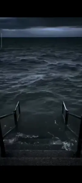 เม่นสมปอง#เม่นสมปอง #เม่น #ฟีด #ขอใจหน่อย 