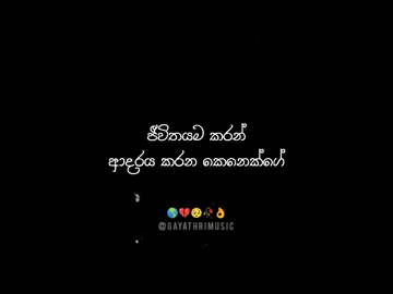 adareta adare karanna ❤️🌹🌎 #tiktok #tiktoklanka #gayathrimusic #achalagayathri #trending #fyp #foryou #lyricsvideo #blackscreenlyrics