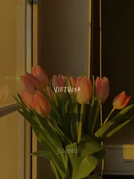 te amo Mamá ❤️❤️                                                                                                  #teamomama #10demayo #paramama #paratí #pyf #paradedicar  #foryou 