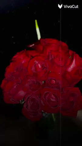 كل حاجة منك حلوة عندي ❤️💍 #راشد_الماجد #أغاني 