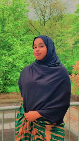 Dhabta dhinaca miyaa ku saraa ❤️🤴#somalitiktok #salmanfai #greenscreen 