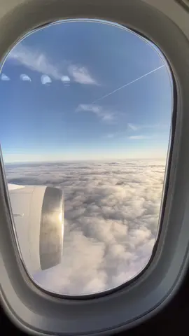 Enjoy the view and have a nice day 🫶 #travel #airplane #airplanewindow 