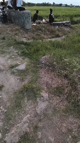 #CapCut #sky#fyp #StoryPemandangan #SawahPedesaan #MentahanVibesSore #MentahanVideoSawah 