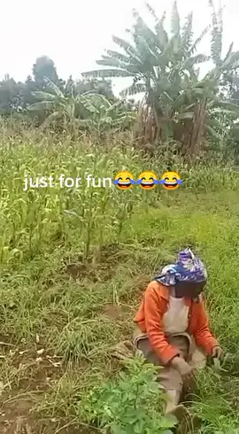 #trecymomma😍😍 #trecymomma😍😍 NITAKUTAFUTIA WAPI😂😂😂😂🙄🙄🤦🤦🤦