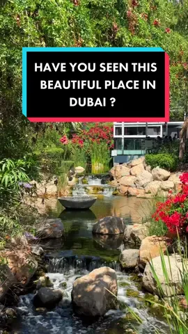 Have You seen this beautiful place ?😍 This place is one of the hidden gems in dubai you should visit ! The Farm is the perfect place to escape the heat and enjoy the serenity ,  restaurant is situated in the heart of nature, surrounded by lush greenery and fresh air. Let me know what you think ?  📍The Farm , Al Barari #albarari #albararidubai #thefarm #dubai #dubaihiddengem #dubaihiddengems #uaehiddengems 