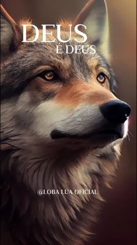 #deusedeus #louvor #emocionante #🙏🕊 #sejagrato #sejaluz #loba #lobaluaoficial #🐺🌙 #motivacao #motivacaodiaria #motivesse #reflexao #reflexaododia #reflexaodevida #lobos #🐺🐺🐺🐺  #lobinhoselobinhas #auuuu🐺🐺 #🐺🌹  #lobosdoamoroficial #❤😘⚘ #🐺🌹 #🌻 