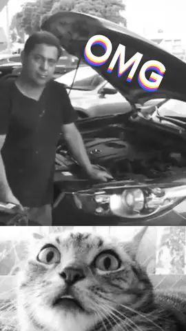 ห้ะ OMG ขอบคุณที่มา: ig By.komedi.videocu #คลิปตลกฮ่าๆ🤣 #คลิปตลกขําๆ คลิปตลกขำๆ