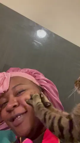 How does your kitty cat show their love? #cats#catsofinstagram #cat#catstagram#catlover#catlife#catlovers#instacat#kitten#pets#meow#kittens#catoftheday#kitty#Love#cute