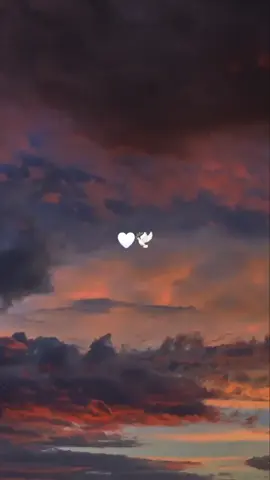 Para esa persona que se nos fue al cielo🤍🕊️#fly #parati #hoy #tu #bellaalma #hoy #descansa #mejorvida #serquerido #alzomivoz #titoelbambino #tercercielo #cielo #memoria #foryou #viral #luto #triste #titoelbambino #alzomivoz #triste #luto 
