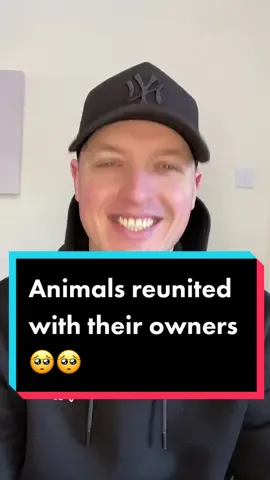 Animals reunited with owners after years apart ❤️🥺 which one was the cutest? #fyp #foryoupage #animals #lion #hero #lucky #how #wow #reaction #xyzbca #viraal 
