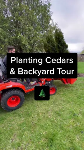 A pretty spot (for my dog to pee on)🌲 #plantingtrees #gardendesign 