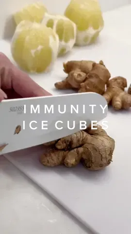 Sick day hack: immunity ice cubes 🤍🍋 #immunitybooster #immunityboost #immunityshot #gingerlemon #gingershot #icetok #icecubes #asmr #asmrsounds #satisfying #satisfyingvideo #sickremedies #healthy #icerestock #fyp #trending #sickhacks #SelfCare #tumericshots 