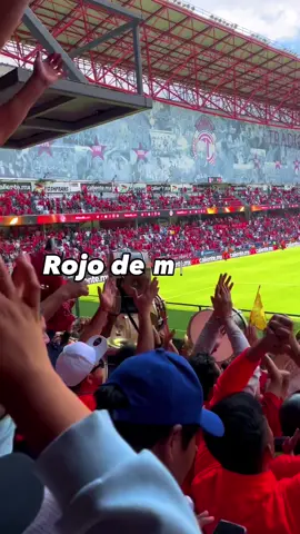 Eres la alegria… ❤️#matadortolucafc #fútbol #toluca #ligamx 