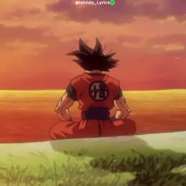 Quantos anos faz? Slk #lyrics #anime #dragonball 