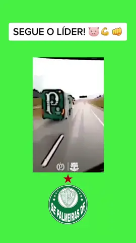 Segue o líder! 😂🤩🐷💚👊 #AvantiPalestra #Palmeiras #Verdão #SePameirasDf #Lider #Brasileirao #AllianzParque #FamíliaPalmeiras #TikTok #TikTokVidCon #TikTokPromote #Futebol #Foryou #Foyou #Fypシ #Soccer #Up #Viral 
