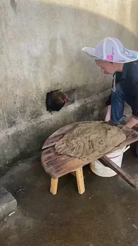 Wal hole sealant strong Adhesive   Plasticine clay air conditioning hole   repair