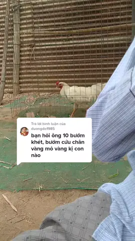 Trả lời @duongdo1985 những ae mà mình chưa tl được, ae thông cảm cho mình nha ae 