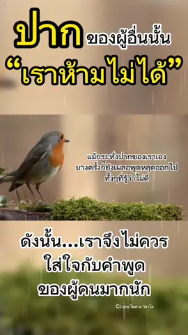 ปากของผู้อื่น🗣 #พลังบวก #คําคม #เติมกําลังใจ #จังหวะชีวิต #ปั่นช้อป89 #สู้ชีวิต 