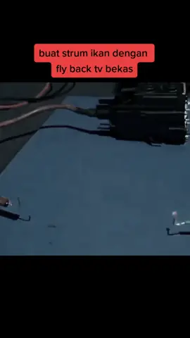 cara buat strum ikan dg flyback tv bekas