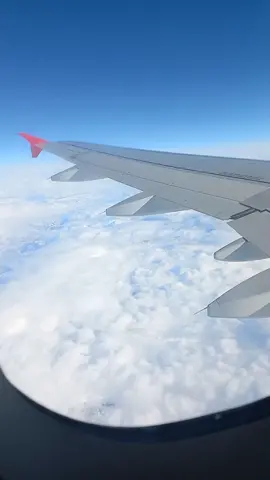 #The  fun of eating burger on aeroplane #foryou #foryoupage #statusvideo #statuswhatsapp #fyppppppppppppppppppppppp 