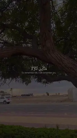 اكتب شيء تؤجر عليه🤍