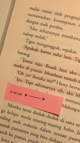 tigooorrr ★______★ #books #BookTok #booksrecommendations #novel #fiksi #hellotereliye #tereliye 