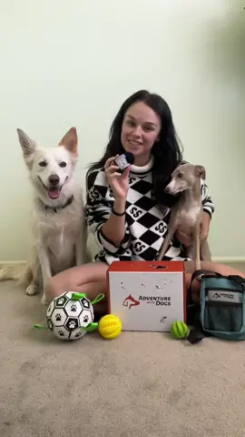 Seed and Sprink unbox! cedarandsprinkle10 for a 10% discount 🥰💫 #iggy #sprink #cedar #doggos #italiangreyhound 