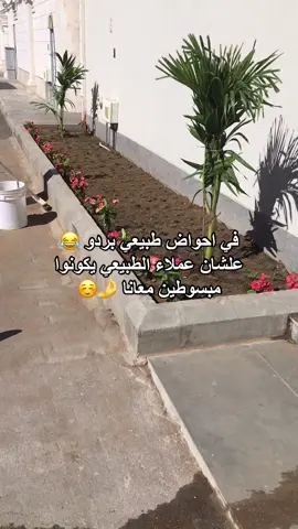 #تنسيق_حدائق_منزليه #تنسيق_حدائق #تنسيق_احواش_خارجيه #احواض_زراعة #جلسات #الشعب_الصيني_ماله_حل😂😂 #احواض_زراعة 