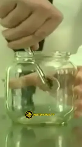 Когда вы выходите за пределы своей зоны комфорта, то, что когда-то было неизвестным и пугающим, становится вашей новой нормой.