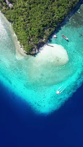 Hello from Sumilon Island 🤩 Our trip to Cebu couldn’t have started any better than this. Sumilon is a small sandbar island located in the southeastern tip of Cebu. Known for its crystal clear water and tiny sandbar and can be easily reached from Oslob Highly recommended to visit Sumilon Island when traveling in Cebu 🌴 📍Sumilon Island, Cebu, Philippines  #sumilonisland #cebu #philippines #travelasia #travel #placestotravel #traveltiktokvideos #beautifulnature #drone #oceanvibes #bucketlist #tropical #beachvibes #exploretheworld 