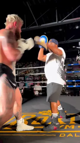 Jake Paul doing pad work #jakepaul #padwork #boxing #boxeo #pauldiaz 
