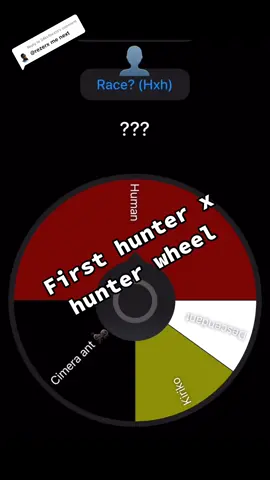 Replying to @24kv1bezzz  First spin a W😮‍💨 #hunterxhunter #wheel #spin #anime #fyp #edit 