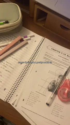 facts #studentlife #highschool #schoollife #highschoolstudent #student #study #studygram #studytok #studying #digitaldiary #school #relateable #studymotivation #motivation #studentproblems #studywithme #students 